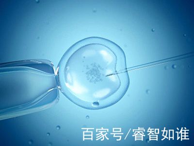 紫韵医疗